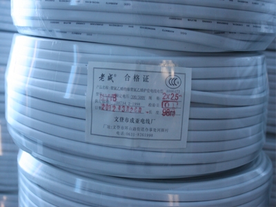 广东聚氯乙烯绝缘电线电缆